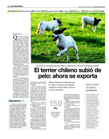 LUN Entrevista a Maria Elena Garcés, fundadora y directora de VonMeg acerca del Terrier Chileno
